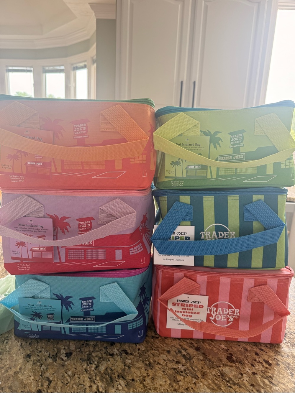 NWT Trader Joe's Mini Insulated Tote Bags Summer 2026 Set of 6 Solid & Striped
